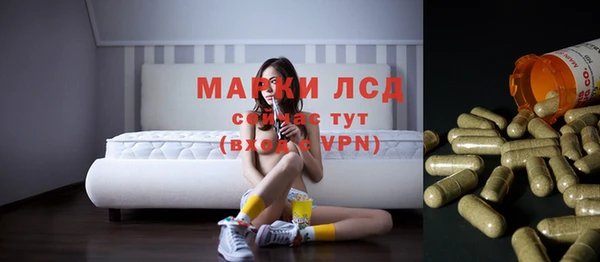 гидра Лабытнанги