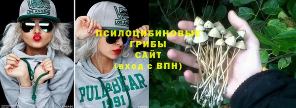 гидра Лабытнанги